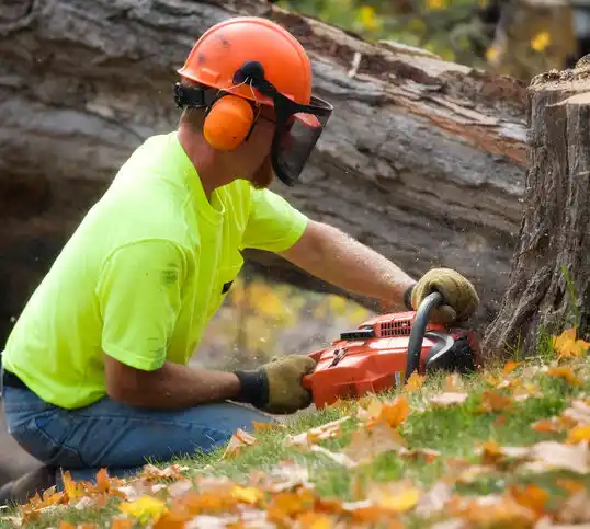 tree services Haworth